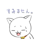 ニシにゃんこ（個別スタンプ：11）