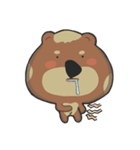 Amnesia Bear（個別スタンプ：25）