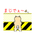 こっちゃんの日常会話スタンプ（個別スタンプ：19）