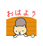 こっちゃんの日常会話スタンプ（個別スタンプ：30）