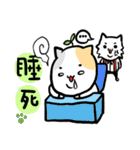 Cat Co. 1-daily life（個別スタンプ：36）