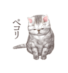 ぶさカワねこ（個別スタンプ：2）