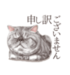 ぶさカワねこ（個別スタンプ：6）