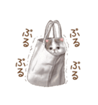 ぶさカワねこ（個別スタンプ：24）