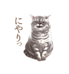 ぶさカワねこ（個別スタンプ：37）