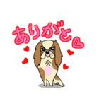 キャバリアだいすき♡ ～ブレンとトライ～（個別スタンプ：1）