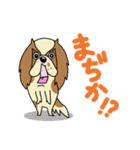 キャバリアだいすき♡ ～ブレンとトライ～（個別スタンプ：5）