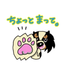 キャバリアだいすき♡ ～ブレンとトライ～（個別スタンプ：8）