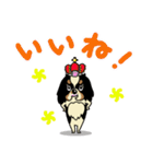 キャバリアだいすき♡ ～ブレンとトライ～（個別スタンプ：16）