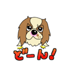 キャバリアだいすき♡ ～ブレンとトライ～（個別スタンプ：18）