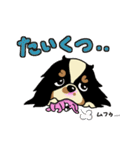 キャバリアだいすき♡ ～ブレンとトライ～（個別スタンプ：24）