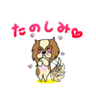 キャバリアだいすき♡ ～ブレンとトライ～（個別スタンプ：25）