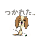 キャバリアだいすき♡ ～ブレンとトライ～（個別スタンプ：28）