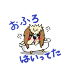 キャバリアだいすき♡ ～ブレンとトライ～（個別スタンプ：32）