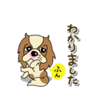 キャバリアだいすき♡ ～ブレンとトライ～（個別スタンプ：34）