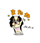 キャバリアだいすき♡ ～ブレンとトライ～（個別スタンプ：35）