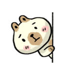 Bear fractious（個別スタンプ：13）