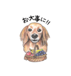 姫と仲間たち（個別スタンプ：1）