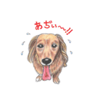 姫と仲間たち（個別スタンプ：7）
