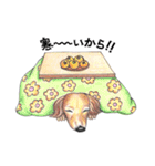 姫と仲間たち（個別スタンプ：8）