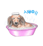 姫と仲間たち（個別スタンプ：9）
