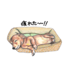 姫と仲間たち（個別スタンプ：10）