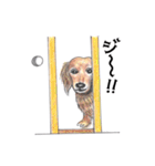姫と仲間たち（個別スタンプ：14）