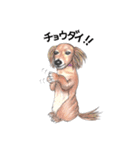 姫と仲間たち（個別スタンプ：20）