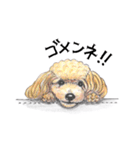 姫と仲間たち（個別スタンプ：24）