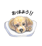 姫と仲間たち（個別スタンプ：25）