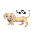 姫と仲間たち（個別スタンプ：27）