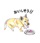 姫と仲間たち（個別スタンプ：31）