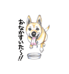 姫と仲間たち（個別スタンプ：32）