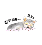 姫と仲間たち（個別スタンプ：35）