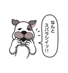 犬のカマセさん《おだてビジネス編》改良版（個別スタンプ：17）