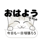 抱っこ猫 応援篇（個別スタンプ：4）