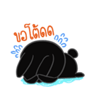 Kati Black rabbit（個別スタンプ：31）