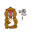 funny baboon（個別スタンプ：28）