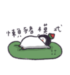 cgua's here（個別スタンプ：37）