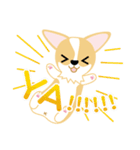 OLi Corgi's Life（個別スタンプ：5）