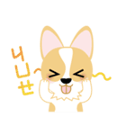 OLi Corgi's Life（個別スタンプ：6）