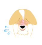 OLi Corgi's Life（個別スタンプ：9）