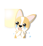 OLi Corgi's Life（個別スタンプ：10）