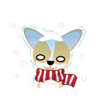 OLi Corgi's Life（個別スタンプ：11）