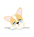 OLi Corgi's Life（個別スタンプ：14）