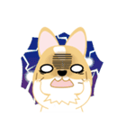 OLi Corgi's Life（個別スタンプ：17）