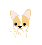OLi Corgi's Life（個別スタンプ：22）