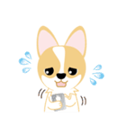 OLi Corgi's Life（個別スタンプ：23）