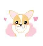 OLi Corgi's Life（個別スタンプ：25）