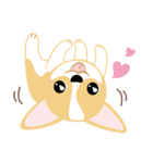 OLi Corgi's Life（個別スタンプ：26）